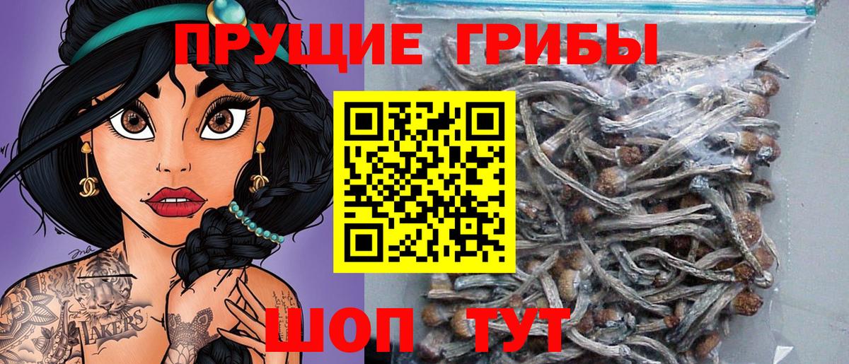 Псилоцибиновые грибы мицелий Ирбит